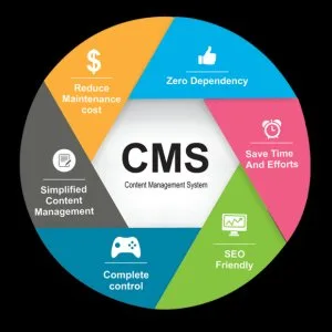 Content management system (cms)