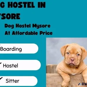 Affordable Dog Boarding Services in Mysore