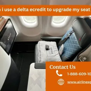 Can i use a delta ecredit to upgrade my seat?