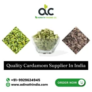 Best quality cardamom supplier in india at best wholesale price