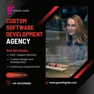 Custom software development agency