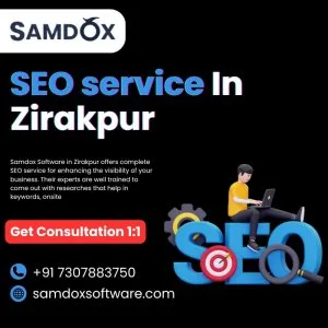 Seo services samdox software in zirakpur