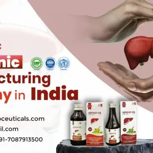Ayurvedic liver tonic manufacturer in india