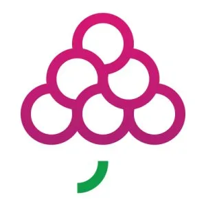 Software development company