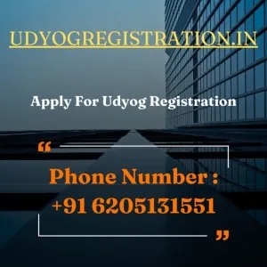 Udyog msme registration private consultancy service