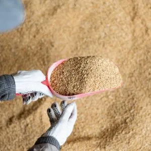 High-protein soybean meal for livestock
