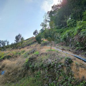 Agriculture land at sungai penjuring, bentong, pahang