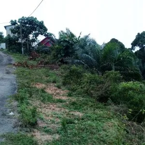 1.12 acres agri land at exevalley, linggi, n sembilan