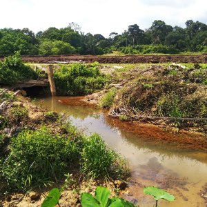 3 acres agri land at linggi, port dickson, n sembilan