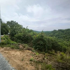 2 acres agri land at pedas fruits park, kundur hulu, n sembilan