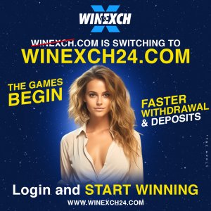 Experience the thrill of the best aviator game on winexch now