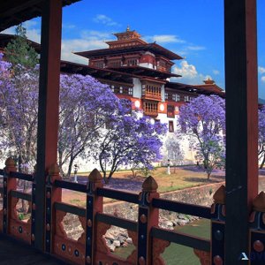 Darjeeling 7 point tour - safarnama holidays