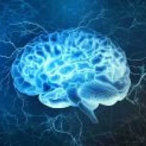 Brain food for all of us