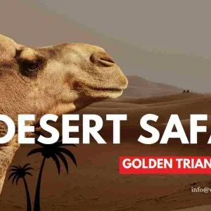 Desert safari with golden triangle