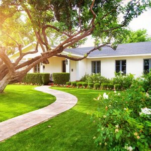 Exploring the benefits of a healthy landscape in a drought