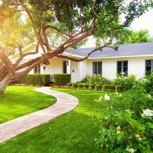 Exploring the benefits of a healthy landscape in a drought