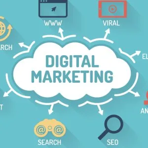 Best website development services in delhi