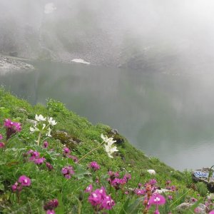 Valley of flowers trek