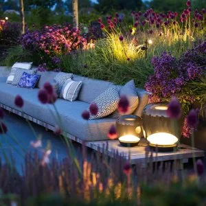 Transform your garden: outdoor lighting for plants