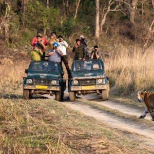 Trusted chardham tour operators in haridwar