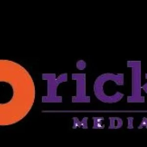 Best seo company in mumbai | bricks media