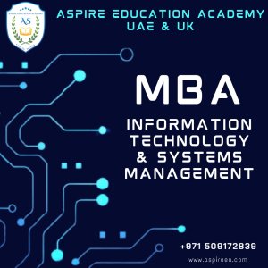 Unlock your future with an mba in it & systems management 🌐📊