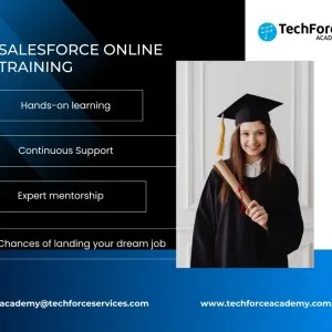 Salesforce training for beginners