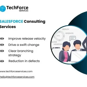Salesforce devops services