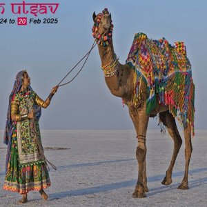Rann utsav 2024-2025 | kutch white desert tent booking & prices