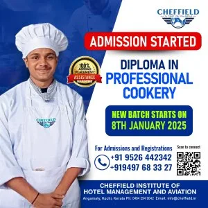 Professional cookery