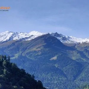 Exciting manali tour deals await