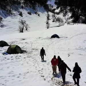 Explore the dayara bugyal trek with Himalaya shelter!