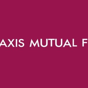What is small cap mutual fund?