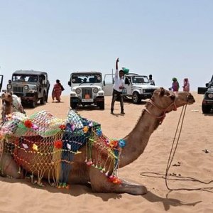 Desert safari in osian