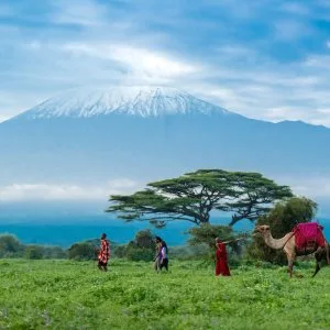 Kilimanjaro expeditions and safari bookings 2026 prices