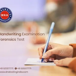 Get an accurate and reliable handwriting examination test