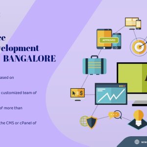 Bangalore’s best ecommerce website designers