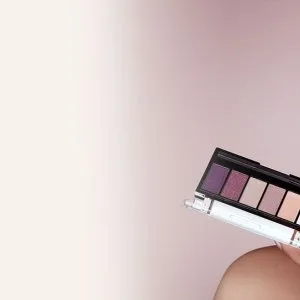 Vlcc complete makeup artist program