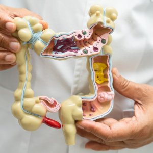 Bone marrow transplant cost in india