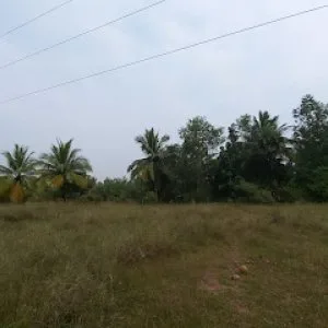 Sdn farms at kiloy village