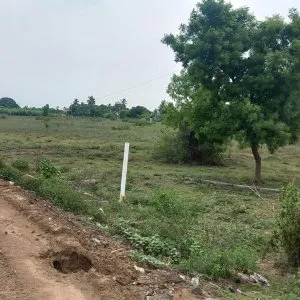 Dtcp approved plots for sale at palayaseevaram in walajabad