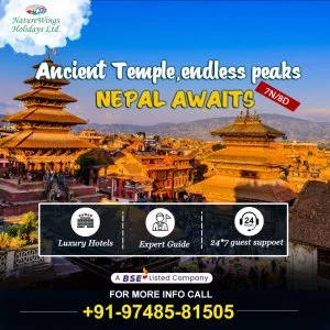 Nepal tourist packages from india