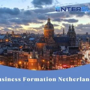 Get hassle-free company registration services in the netherlands