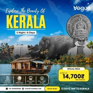 Best travel agency in ahmedabad - vogue tourism llp