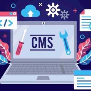 Which is the best, data science or full stack development?