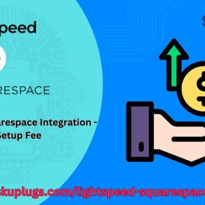 Seamless integration of lightspeed retail pos with squarespace i
