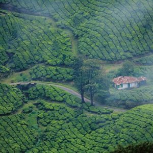 Kerala holiday packages