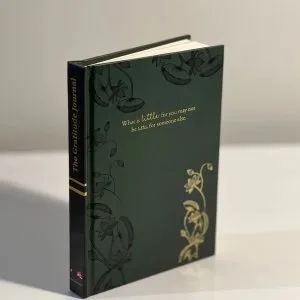 The gratitude journal (belief green)