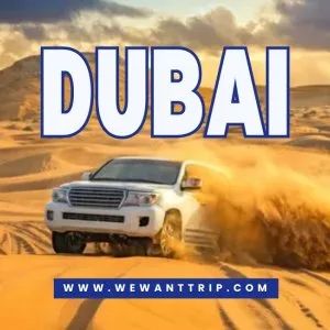 Best of dubai with our exclusive dubai tour package