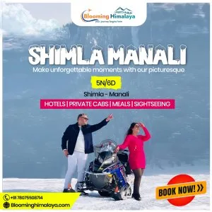 Shimla manali honeymoon package